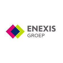 Enexis-Groep-logo-website
